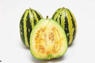 g718sx娱乐吃瓜,揭秘吃瓜群众的狂欢盛宴